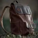 Fringilla Phasellus Faucus Scelerisque Eleifend Donec